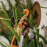 25jährigesHeulandlerTanzlmusikIMG_1373
