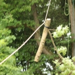 BaumklettererPonlach (14)