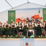 BieranstichBienenstiche (12)
