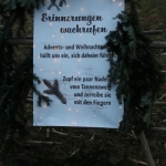 AdventImpressionen2020IMG_5267