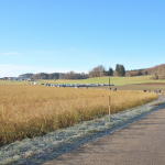 German-Brass-2025IMG_8072