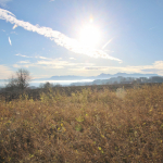 German-Brass-2025IMG_8077