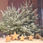 German-Brass-2025IMG_8100