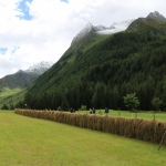 Faschingsbande Ahrntal 2017IMG_3908