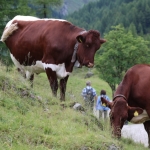 Faschingsbande Ahrntal 2017IMG_3947