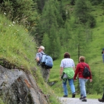Faschingsbande Ahrntal 2017IMG_3987
