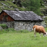 Faschingsbande Ahrntal 2017IMG_4013