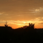 BadPirawarth (29)