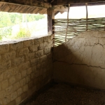 BadPirawarth (37)