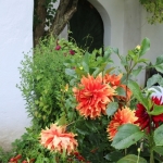 BadPirawarth (40)