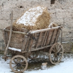 Barbaramarkt2017IMG_3426