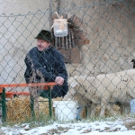 Barbaramarkt2017IMG_3543