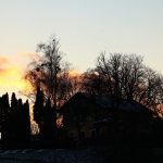 Barbaramarkt2017IMG_3584