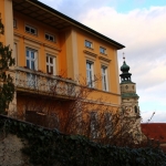 Barbaramarkt-2019IMG_3611