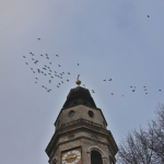 Barbaramarkt-Samstag-2025IMG_1196