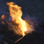 Barbaramarkt-Samstag-2025IMG_1304