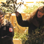 Barbaramarkt-Samstag-2025IMG_1403