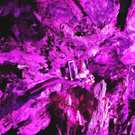 Barbaramarkt-Samstag-2025IMG_1443