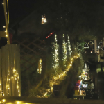 Barbaramarkt-Samstag-2025IMG_1560