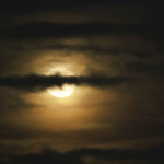 Barbaramarkt-Samstag-2025IMG_1612