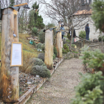 Barbaramarkt-Sonntag-2025IMG_1785