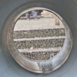 Barbaramarkt-Sonntag-2025IMG_1847