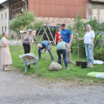 Baumchallenge-2025IMG_3964