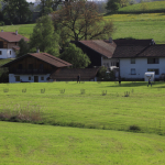 Bierzelt-FFW-Kay-2024IMG_5289