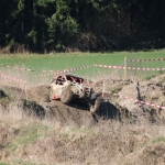 Chiemgautrophy2018IMG_8398