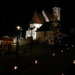 ChristbaumaufstellenKay2017IMG_3141