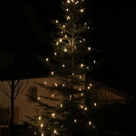 ChristbaumaufstellenKay2017IMG_3193