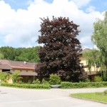 Ehrenamtlichenausflug2019IMG_6049
