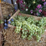 Erntedank2016Tittmoning (8)