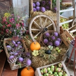 Erntedank2016Tittmoning (9)
