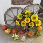 Erntedank2018IMG_1694