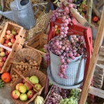 ErntedankTittmoning2019IMG_8618