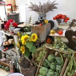 ErntedankTittmoning2019_MG_8631