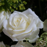 ErstkommunionTittm2026IMG_2056