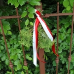 FahrzeugweiheKirchheim2019IMG_5156