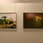 FotoausstellungFridolfing2019IMG_0747