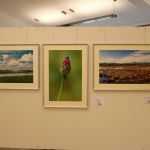 FotoausstellungFridolfing2019IMG_0749
