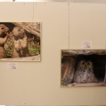 FotoausstellungFridolfing2019IMG_0753