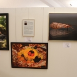 FotoausstellungFridolfing2019IMG_0757