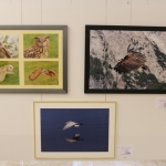 FotoausstellungFridolfing2019IMG_0761