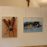 FotoausstellungFridolfing2019IMG_0769