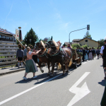 Gaufest-2022IMG_9989