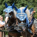 GaufestPrutting2018IMG_6866