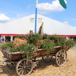 GaufestPrutting2018IMG_7084