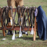 Gaupreisschnalzen-Waging-Allgemeine-2022IMG_6008