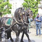 Georgiritt-T2-2025IMG_1615